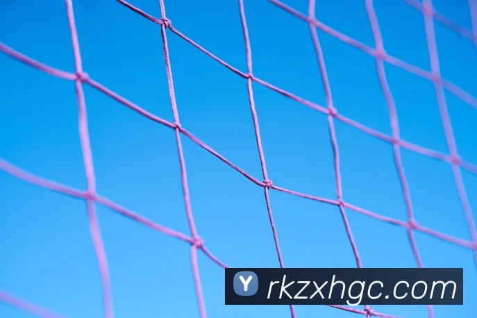 买球官方服务体系